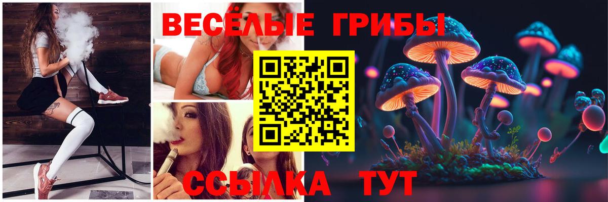 Псилоцибиновые грибы GOLDEN TEACHER  купить  сайты  Михайловка  Вход с VPN  Псилоцибиновые грибы прущие грибы 